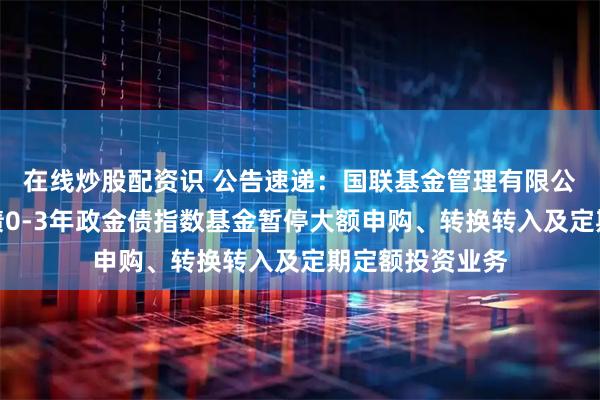 在线炒股配资识 公告速递：国联基金管理有限公司关于国联中债0-3年政金债指数基金暂停大额申购、转换转入及定期定额投资业务